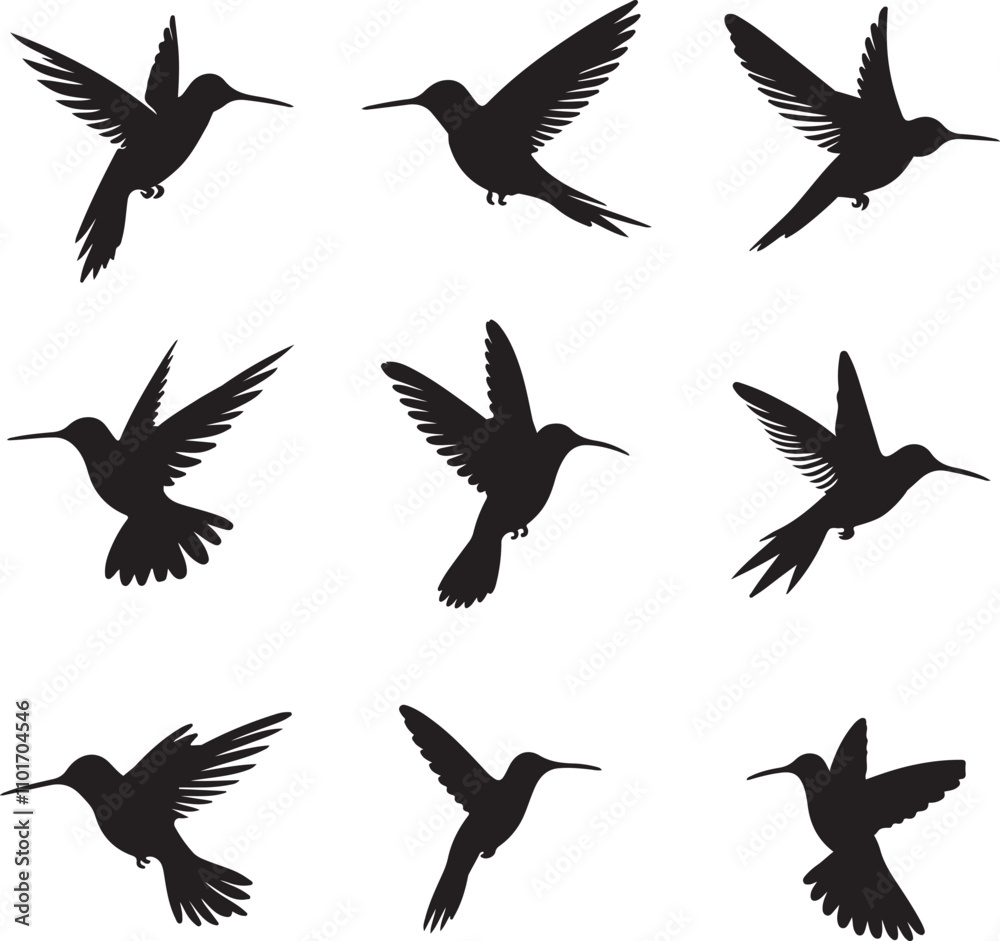 Humming bird collection silhouette vector art illustration Humming bird collection silhouette vector art illustration