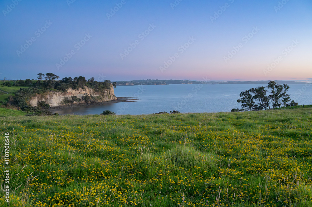 Panoramic view of the early morning at Long Bay Regional Park Panoramic view of the early morning at Long Bay Regional Park