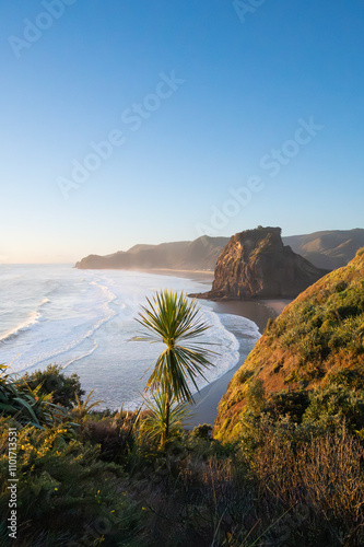 Beautiful sunset viewpoint of the South Piha Beach, Auckland, New Zealand