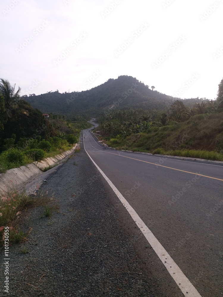 Fototapeta premium The highway on the south coast of Java or JLS