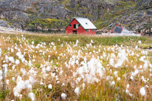 Obraz na płótnie Assaqutaq, abandoned village in Western Greenland w salonie