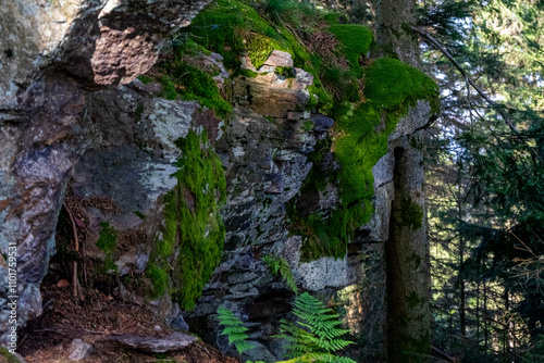 Hiking on the Hadriwa High Path in the Bavarian Forests Germany. photo