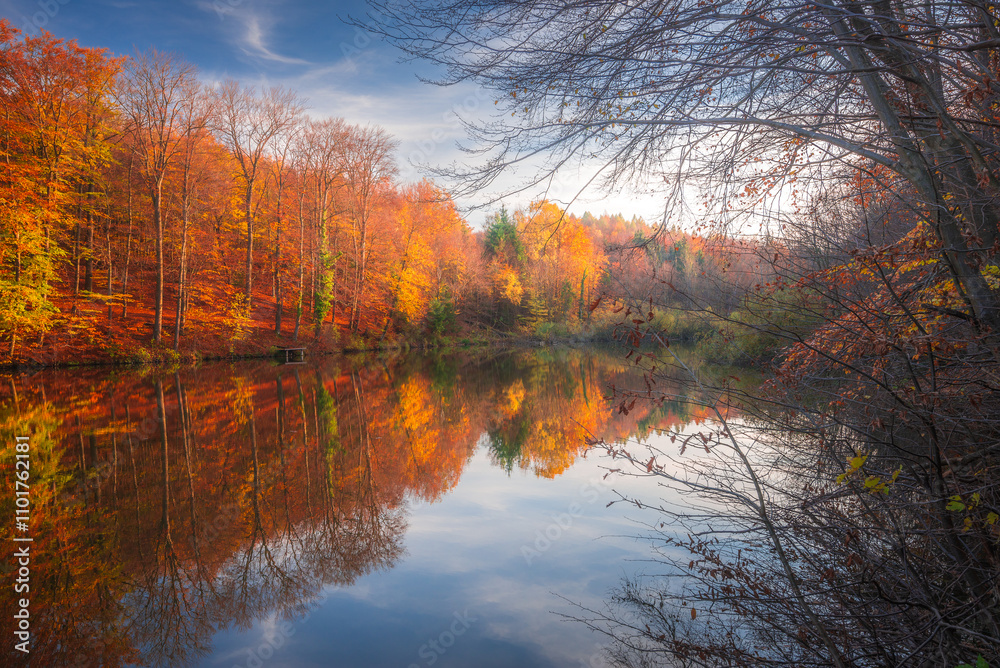 Fototapeta premium Autumn colorful foliage over lake with beautiful woods in red and yellow color. Bakony Forest and Mountain, Pisztrangos Lake, Hungary. Long exposure shot.