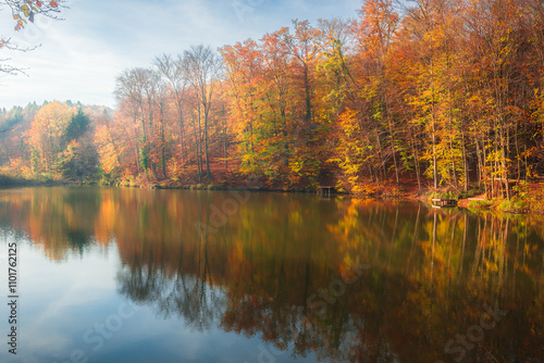 Autumn colorful foliage over lake with beautiful woods in red and yellow color. Bakony Forest and Mountain, Pisztrangos Lake, Hungary photo