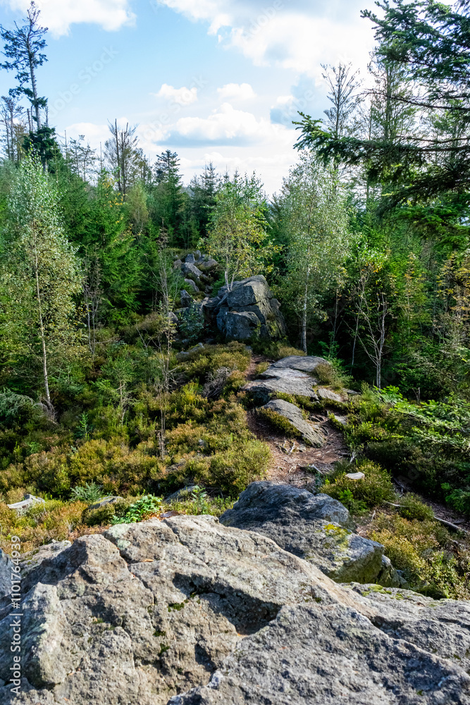Hiking on the Hadriwa High Path in the Bavarian Forests Germany. Hiking on the Hadriwa High Path in the Bavarian Forests Germany.
