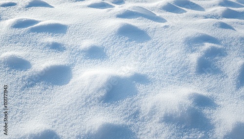 雪で覆われた大地 photo