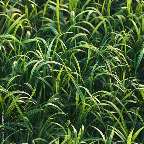 Lush green grass fills the frame, showcasing vibrant natural textures, This image can be ideal for environmentally themed projects, gardening articles, or promoting outdoor activities, photo