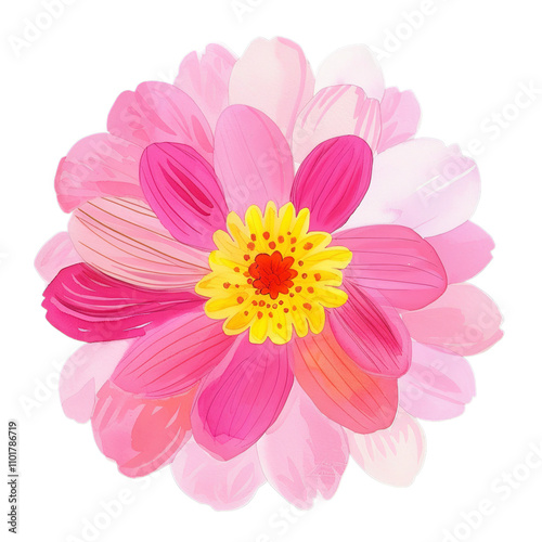 flower isolated on white background