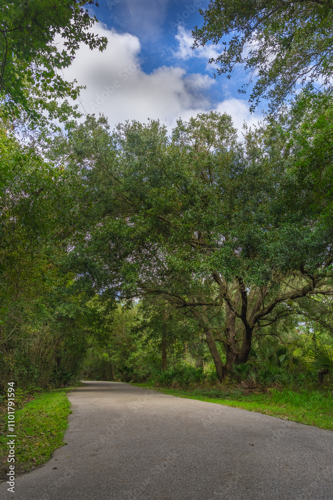 Asphalt path leads you along lush green foliage at the New Tampa Nature Park a Autism Friendly Park in Hillsboro County Tampa Bay Florida USA Asphalt path leads you along lush green foliage at the New Tampa Nature Park a Autism Friendly Park in Hillsboro County Tampa Bay Florida USA