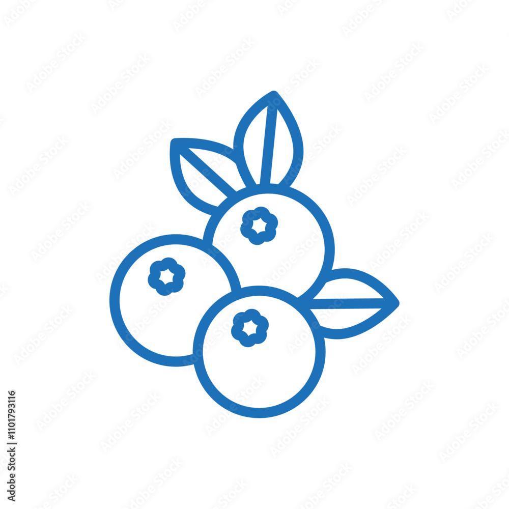 Blueberry icon flat line symbol set. Blueberry icon flat line symbol set.