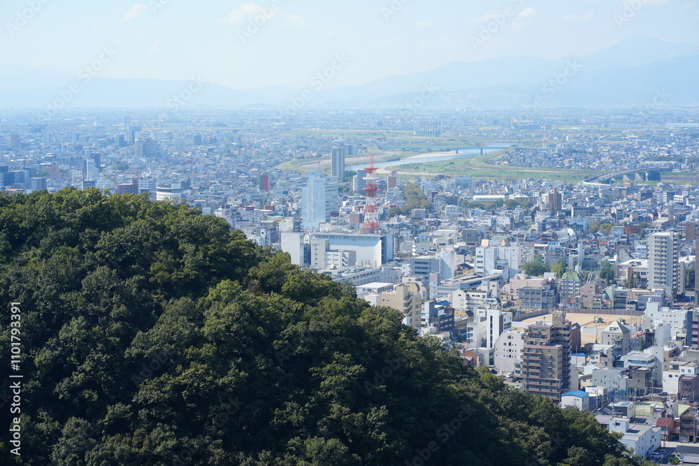 Fototapeta premium 岐阜県の金華山からの岐阜市内の風景