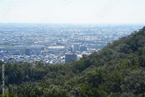 岐阜県の金華山からの岐阜市内の風景