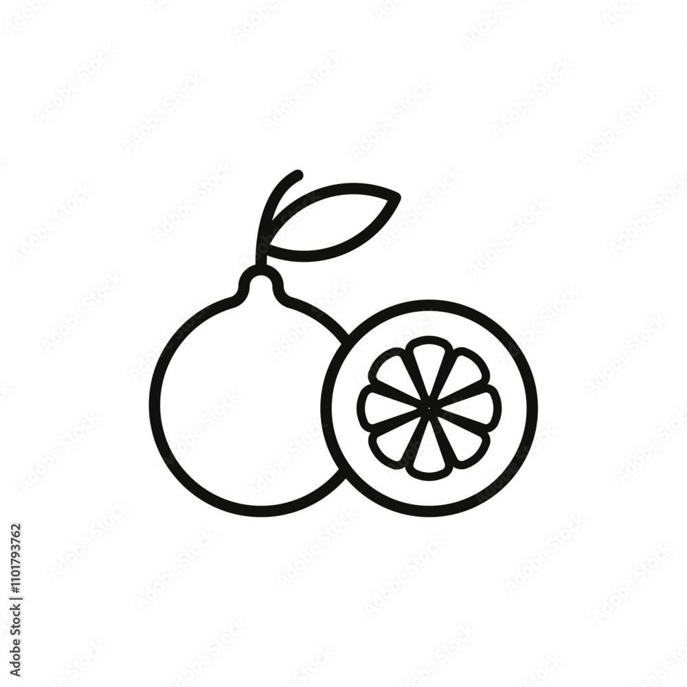 Fototapeta premium Citrus fruit icon flat line symbol set.