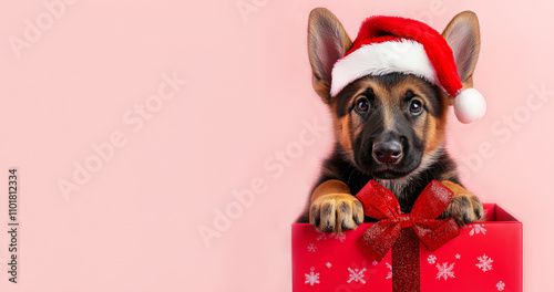 Adorable German Shepherd puppy wearing festive Santa hat, peeking out from vibrant red gift box decorated with glittery bow. Ideal for Christmas promotions, pet-related advertisements, holiday designs