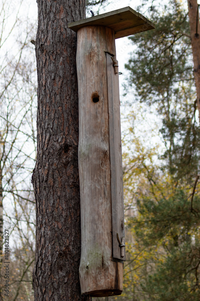 Close-Up of a Forest Beehive on a Tree Amidst Lush Green Foliage in a Serene Forest Setting Close-Up of a Forest Beehive on a Tree Amidst Lush Green Foliage in a Serene Forest Setting