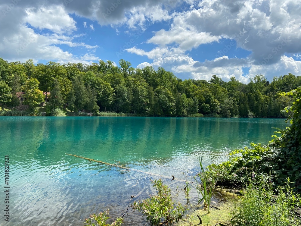 Fototapeta premium lake in the forest