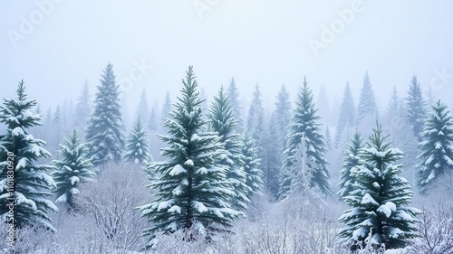 Snow-covered evergreen trees in a serene winter forest setting with a blanket of fresh white snow, tranquil, frost