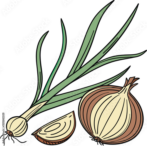 Vector illustration of an onion with onion leaves 