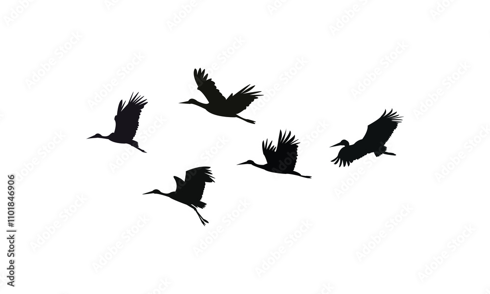 Obraz premium Flying Stork Silhouette Design And Vector Illustration. 