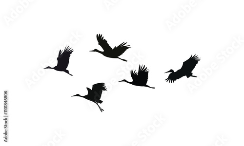 Flying Stork Silhouette Design  And Vector Illustration. 