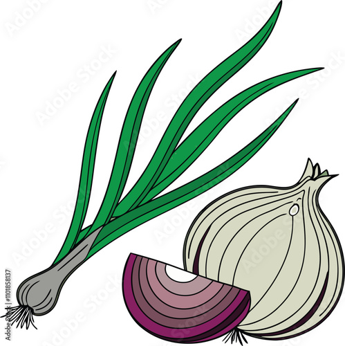 Vector illustration of an onion with onion leaves 