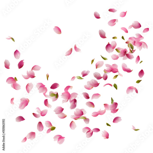 Falling romantic pink rose petals