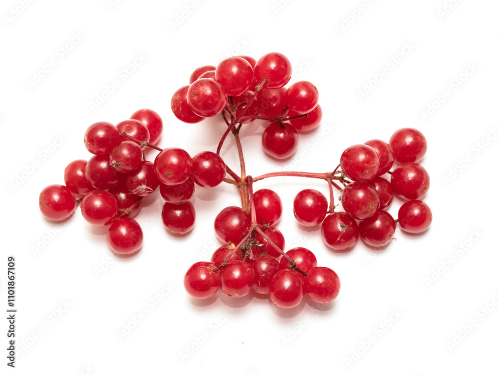 a bunch of red berries isolated on white background a bunch of red berries isolated on white background