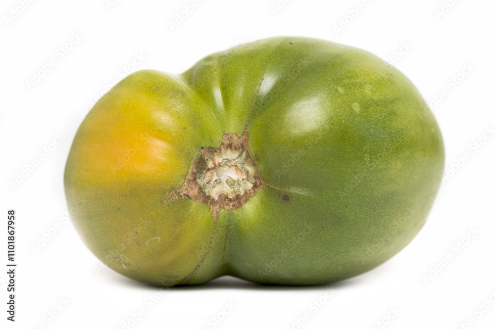 brown unripe tomatoes on white background brown unripe tomatoes on white background