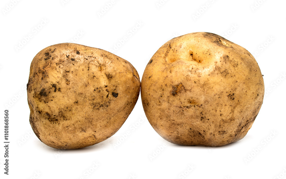 young potatoes isolated on white background young potatoes isolated on white background
