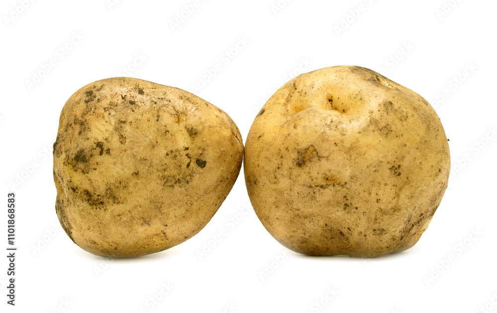 young potatoes isolated on white background young potatoes isolated on white background