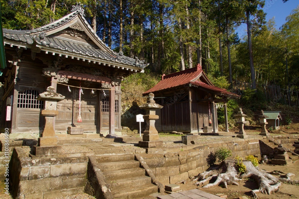 鎌倉市大船の春 多聞院の桜と熊野神社
鎌倉市大船の春 多聞院の桜と熊野神社