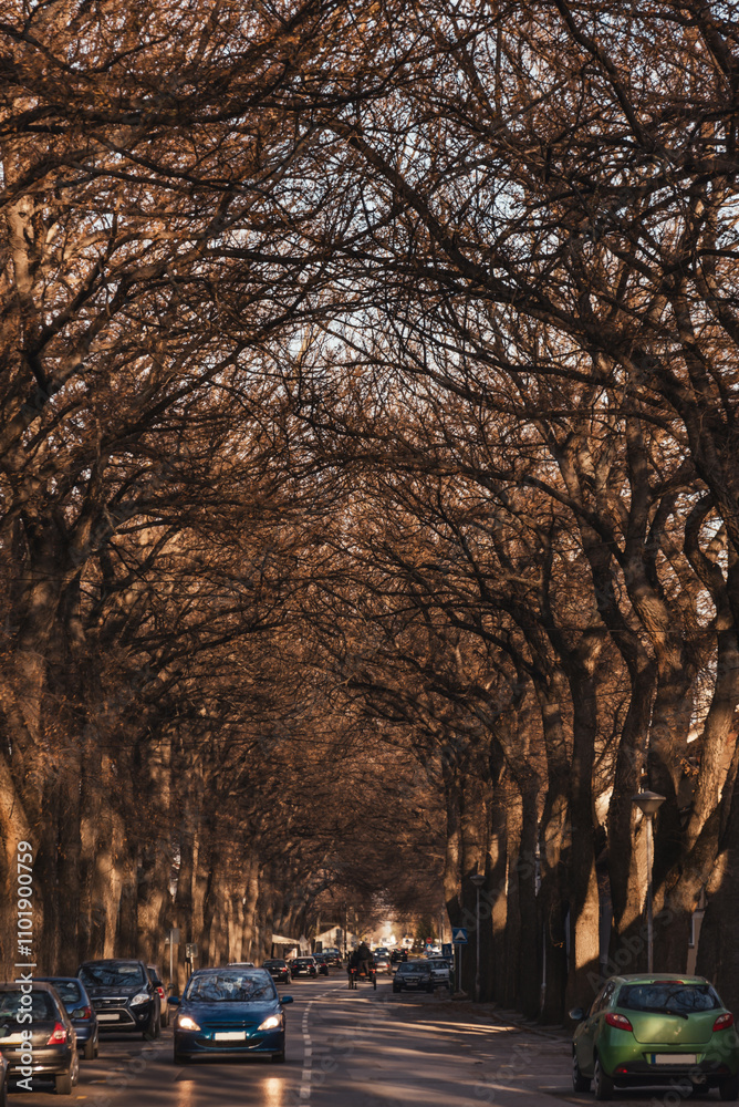 General Drapsina Street in Kikinda City Serbia