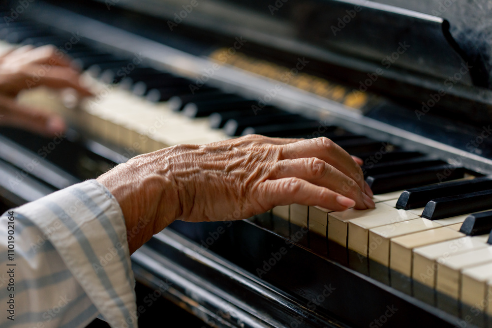 Obraz premium hands close up an elderly woman sits at the piano playing a melody learning new chords old age memories of an elderly couple pleasant leisure time in old age warm feelings support in old age