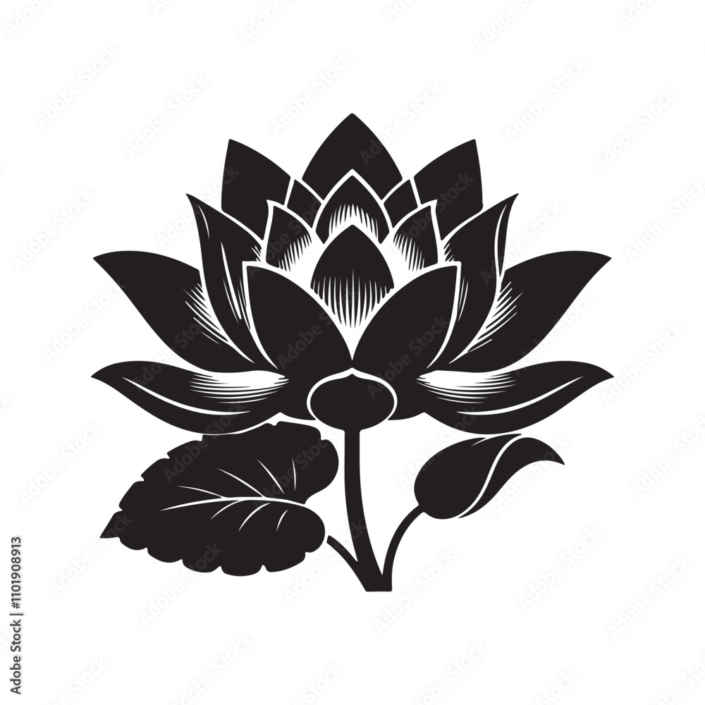Obraz premium lotus flower isolated on white background