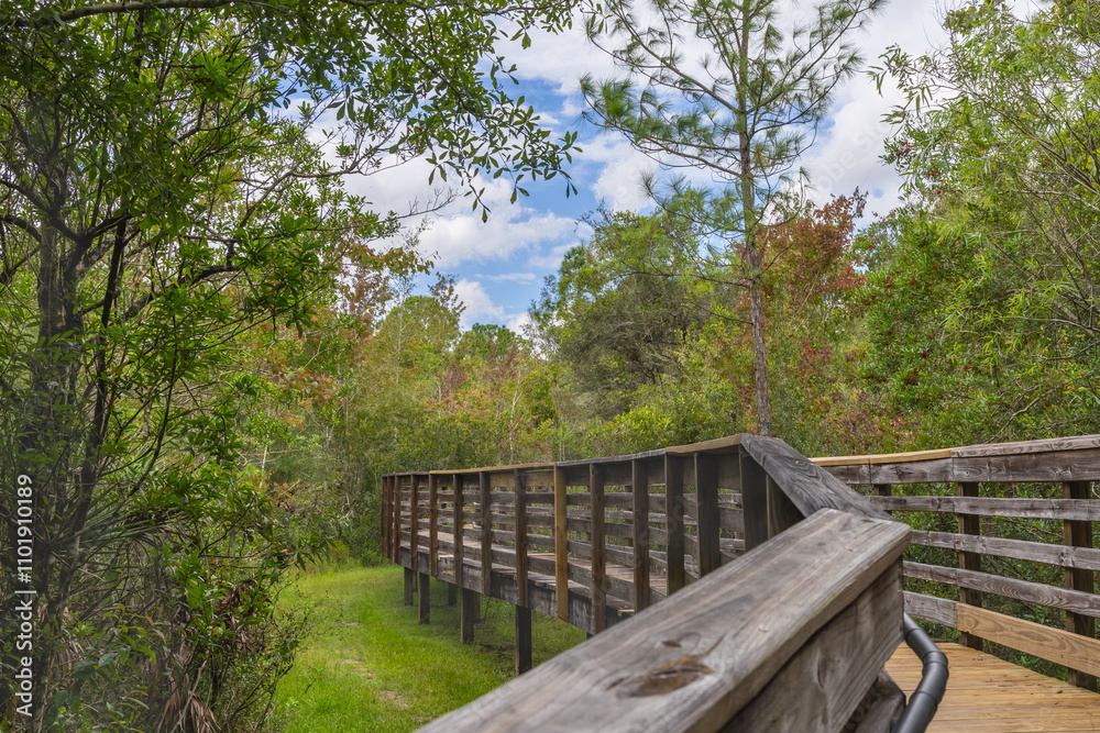 The wooded walking bridge transverses the vibrant colorful autumn and summer foliage at the New Tampa Nature Park The wooded walking bridge transverses the vibrant colorful autumn and summer foliage at the New Tampa Nature Park