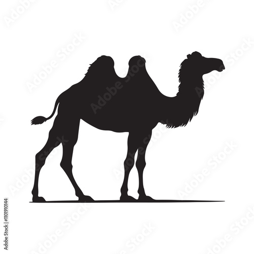 camel on the beach vector