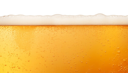 beer with foam border isolated on transparent background cutout
