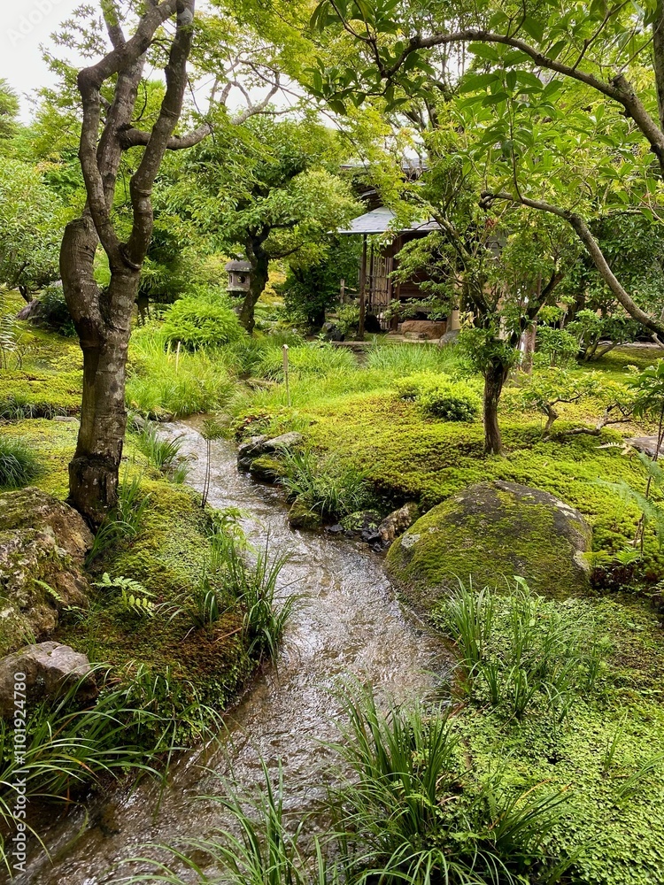 Fototapeta premium A Garden in Kyoto
