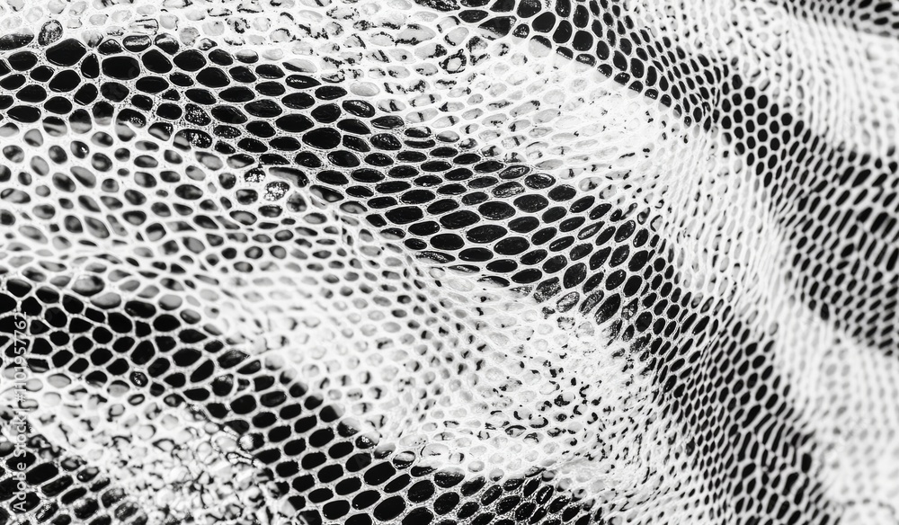 custom made wallpaper toronto digitalFaux leather pattern resembling snakeskin. Featuring lines and spots structural texture. Modern, abstract illustration with a cool, artsy background. Black design, isolated on white. EPS10