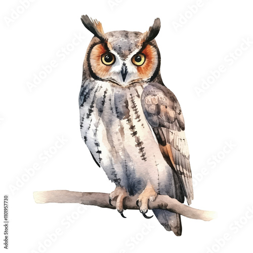 watercolor Scops Owl isolated white background