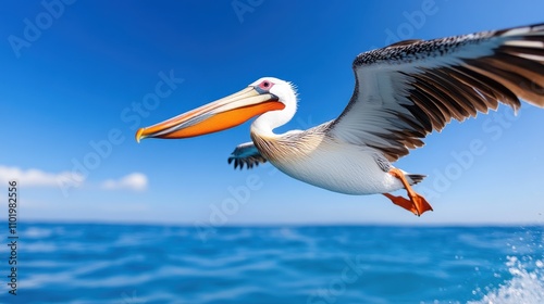 A pelican flies gracefully over a vast blue ocean under a clear sky, showcasing the freedom and beauty of nature in a vivid display of movement and color.