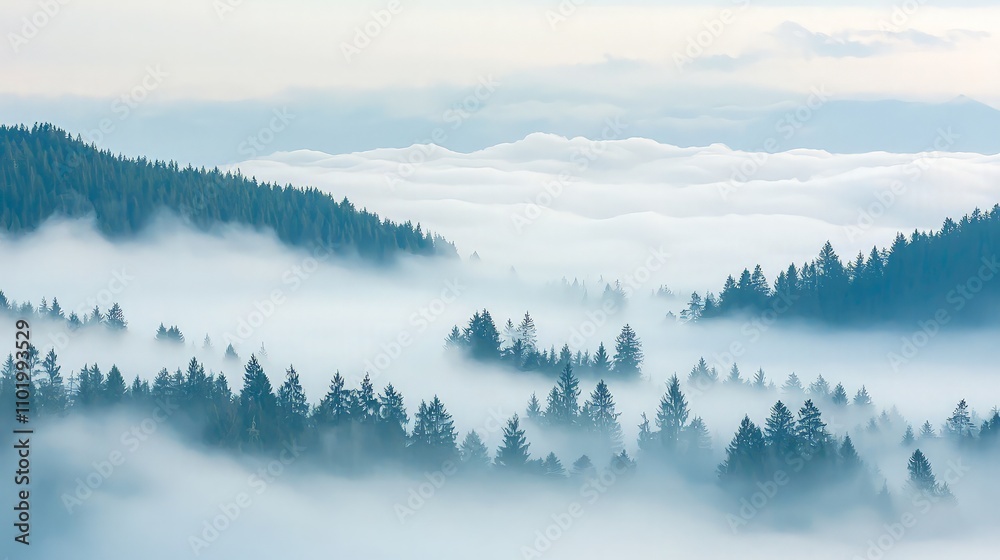 Fototapeta premium Misty mountain landscape with evergreen forests peeking through the clouds.