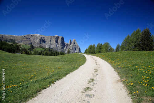 Seiser Alm, Alpe di Siusi, Hochalm mit Sellagruppe und Langkofelgruppe, Dolomiten, Italien, Europa  photo