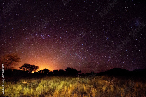 African bush of green grass illuminated under a starry sky with a light on the horizon creating spectacular shades of colors