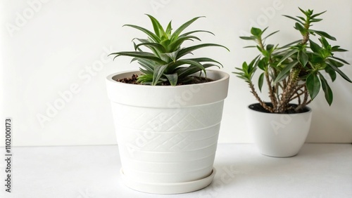 High-rise plant pot on plain white background, modern planters, vertical gardening, decorative pot, urban decor