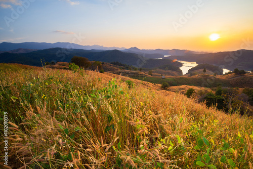 Mountaintop landscape with golden fields of grass flowers as the sun sets, at Mon Mae Tang Reservoir, Phrae province, Thailand photo