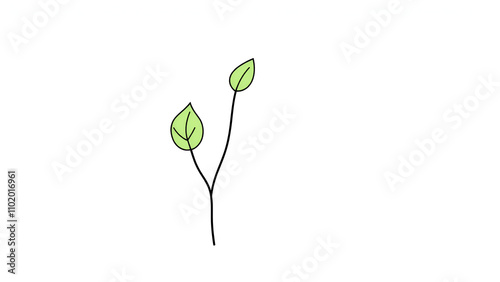 Thin line vector outline icon of a leaves slenderly standing on a white background isolated with editable stroke photo