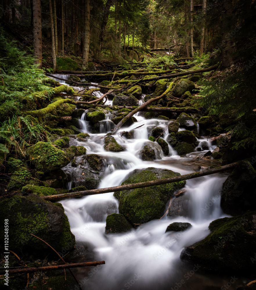 Mountain forest stream with waterfall in the Caucasus, Russia