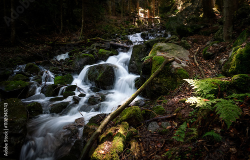 Mountain forest stream with waterfall in the Caucasus, Russia