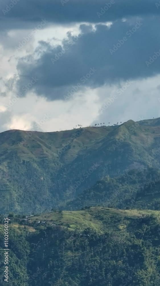 Top view of hills and mountains in the tropics with palm trees and forest. Negros, Philippines